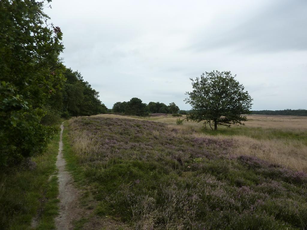 Wapen Van Exloo Quarto foto